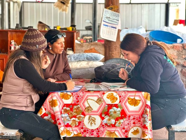 Municipalidad de Tierra Amarilla aplica 1234 fichas de emergencia y se han transferido más de $800 millones a familias damnificadas