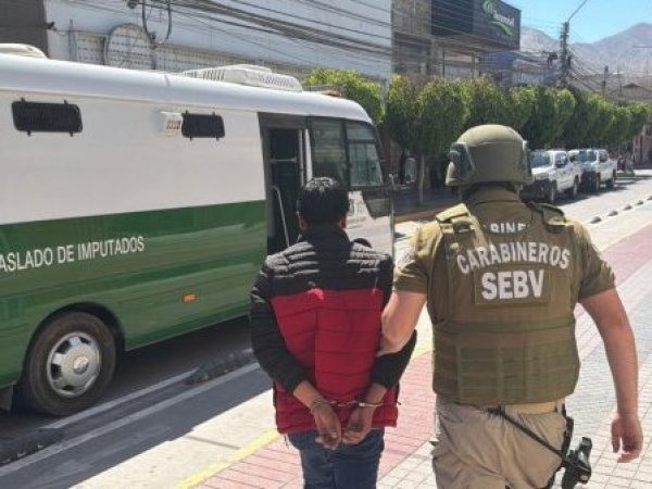 Carabineros detuvo 12 personas e incautó más de 700 especies en locales comerciales