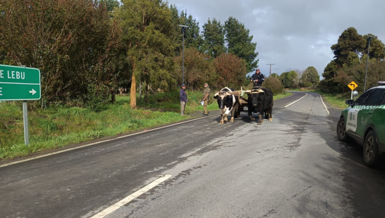 /refuerzan-campana-preventiva-contra-el-abigeato-en-sectores-rurales-de-los