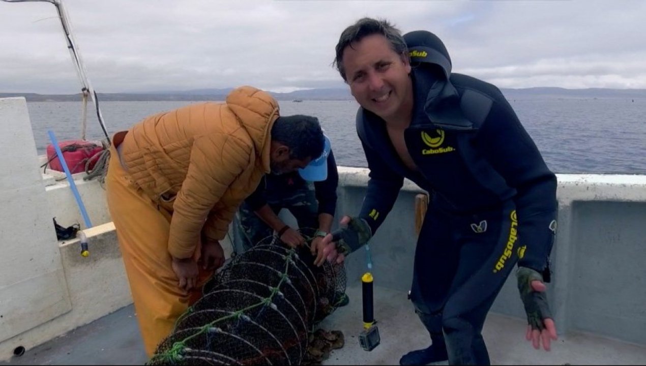 /agua-viva-la-primera-serie-documental-sobre-acuicultura-chilena-ya-esta