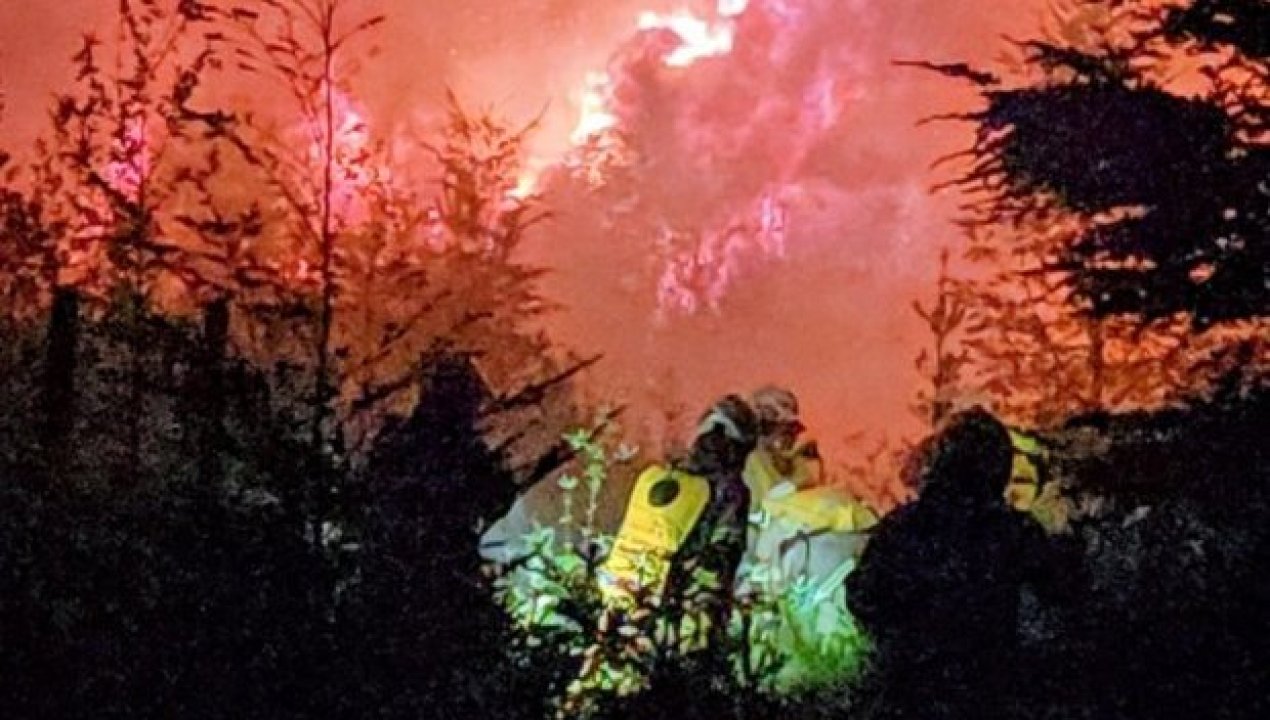 /incendio-intencional-en-viveros-de-alerce-municipio-de-puerto-montt