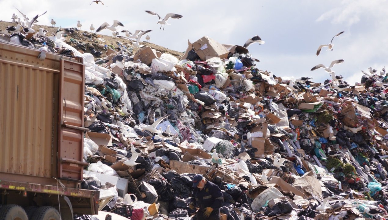 /municipio-reitero-al-gore-la-solicitud-de-traspaso-de-ciertos-terrenos-del