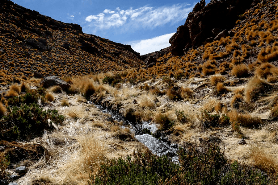 /corte-de-la-haya-da-la-razon-a-chile-curso-de-agua-del-silala-es-internacional