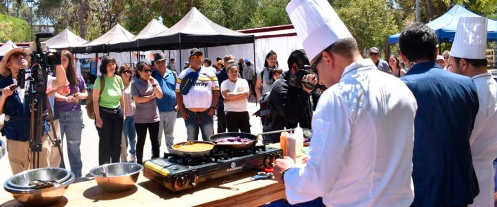 Vicuña albergará encuentro gastronómico gratuito: Participarán más de 20 restaurantes