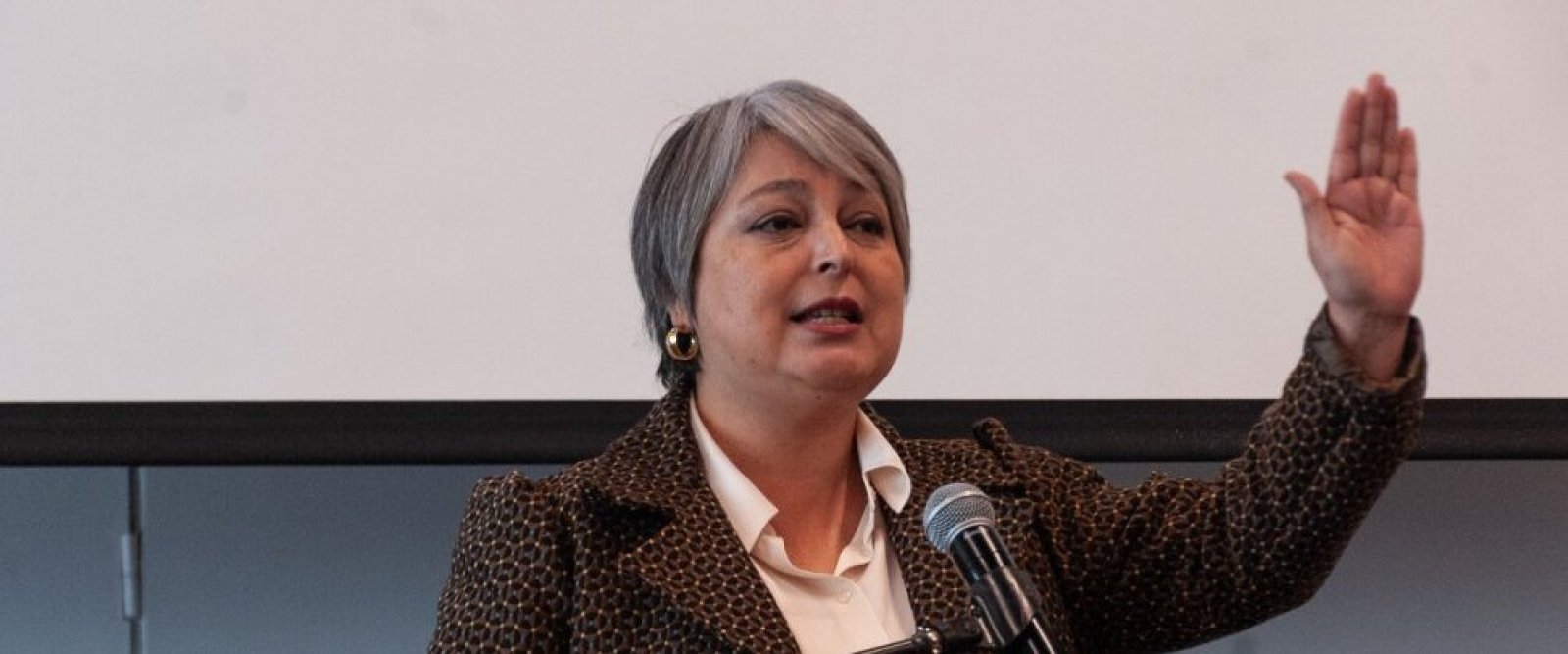 Jeannette Jara no participará en próximos foros