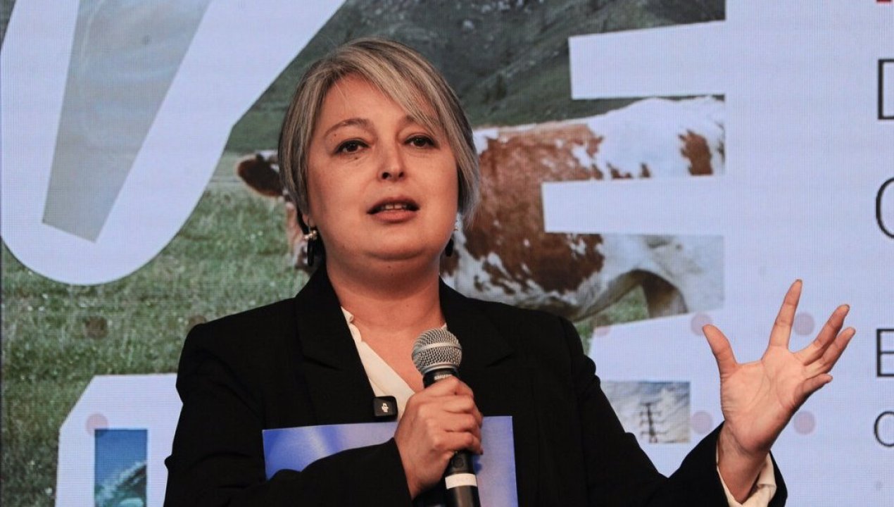 /actualidad/analisis-confirma-que-audio-atribuido-a-jeannette-jara-fue-generado-con