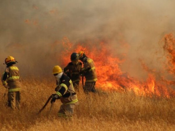 Incendios forestales mantienen Alertas Rojas mientras se pronostican temperaturas de hasta 37 grados