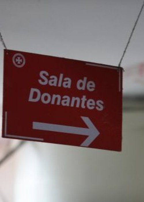 Semana del Donante de Sangre: Chile busca aumentar la donación voluntaria