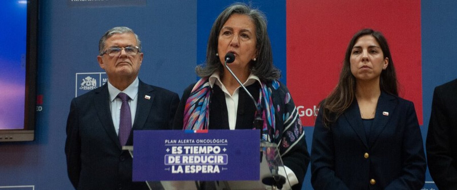 Ministra Chomali constituye Consejo Nacional de Salud para reducir listas de espera