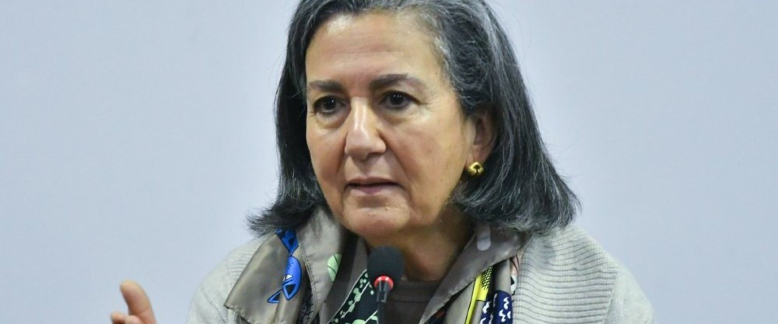 Ministra May Chomali reconoce colapso en unidades hospitalarias de salud mental